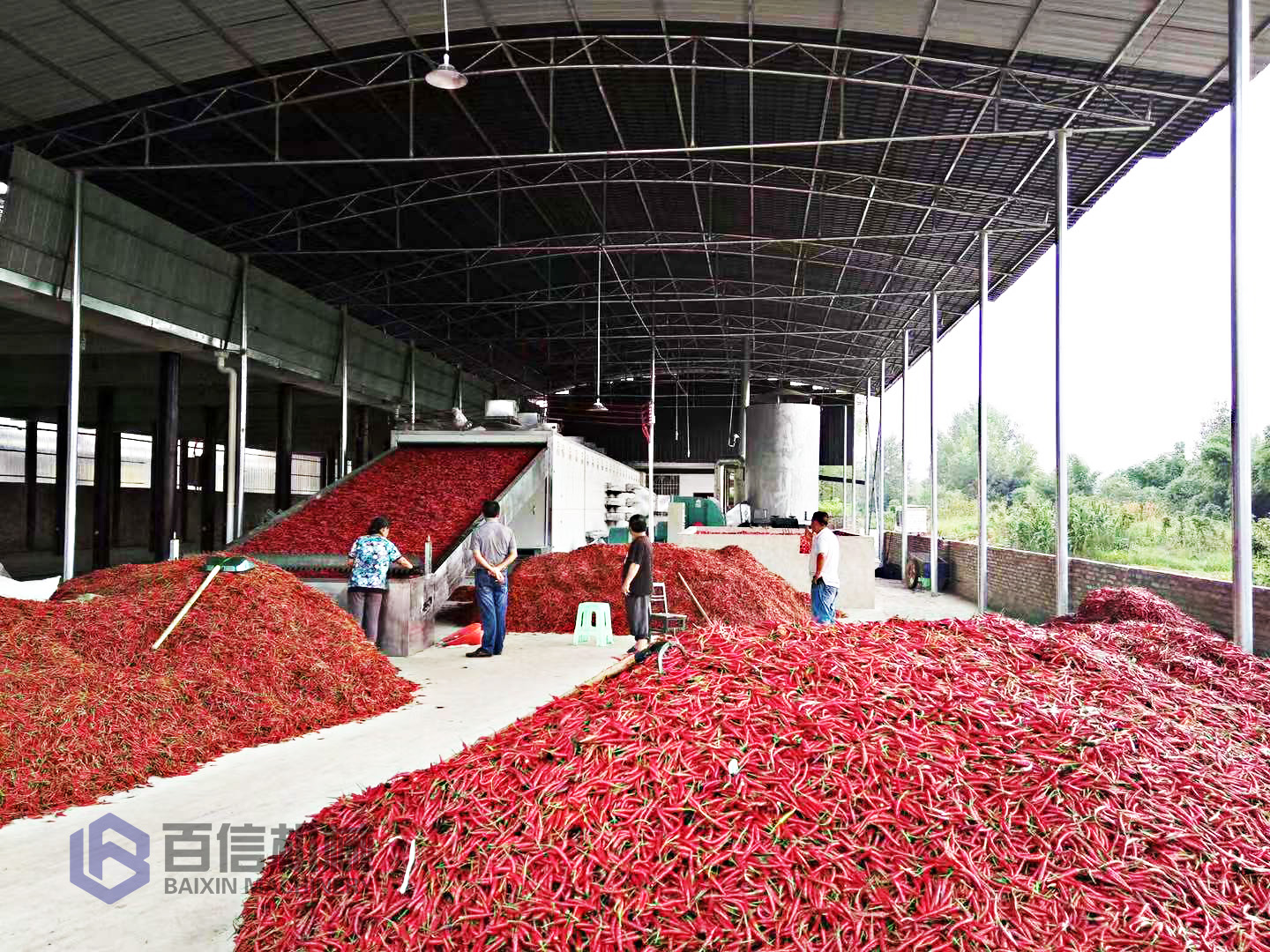 小型辣椒烘干機(jī) 小型辣椒烘干機(jī)